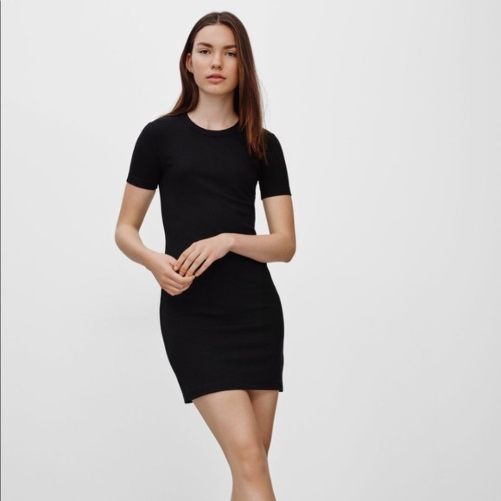 Aritzia Sunday Best Miller Bodycon dress